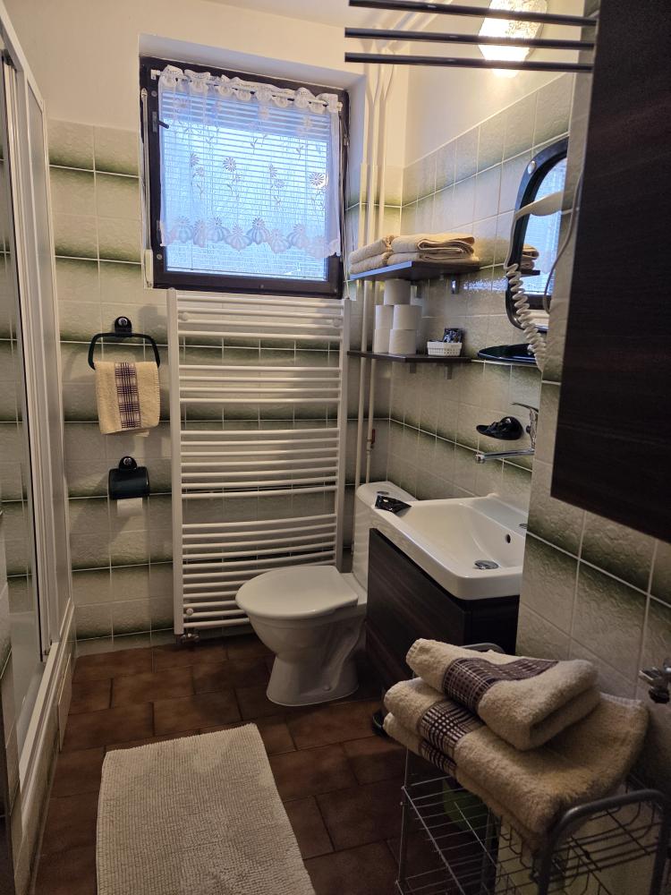 Pohled do apartmánu 1 